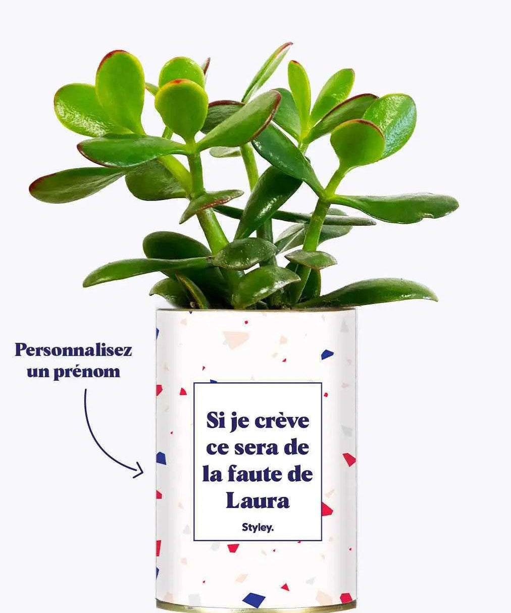 Si je crève personnalisable - Cactus