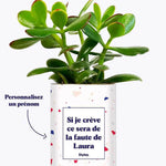 Si je crève personnalisable - Plante Crassula varié