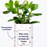 Si je crève personnalisable - Plante Crassula varié