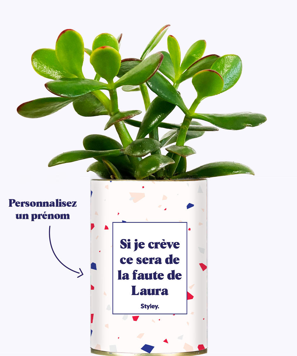 Si je crève personnalisable - Cactus