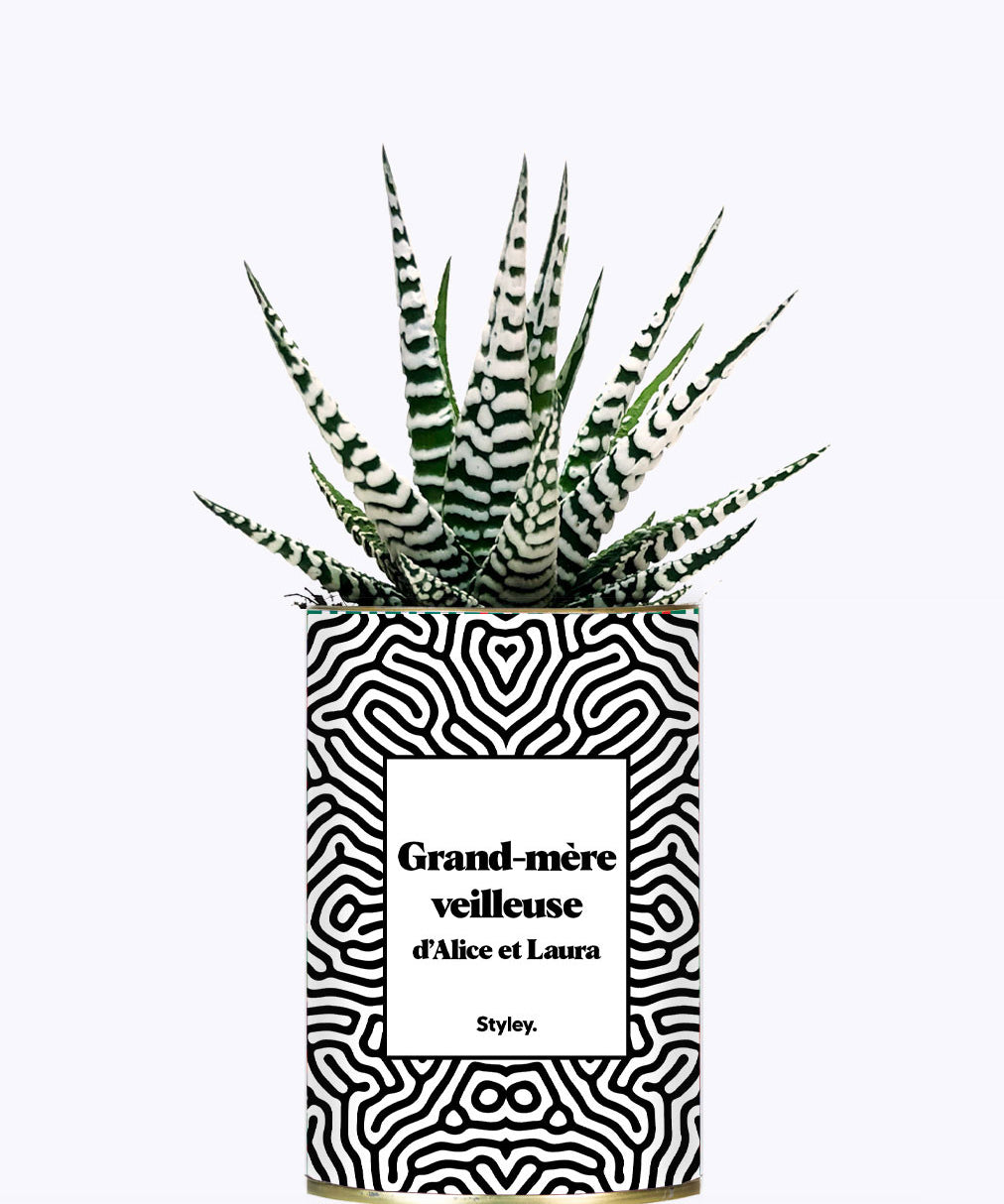 Grand-mère personnalisable  - Cactus