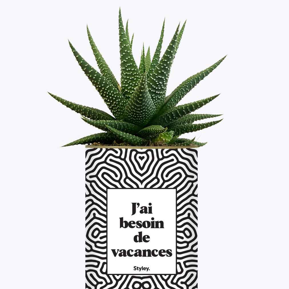 J'ai besoin de vacances - Plante