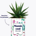 Mamie cool personnalisable - Plante Haworthia varié