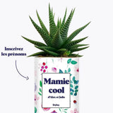 Mamie cool personnalisable - Plante Haworthia varié