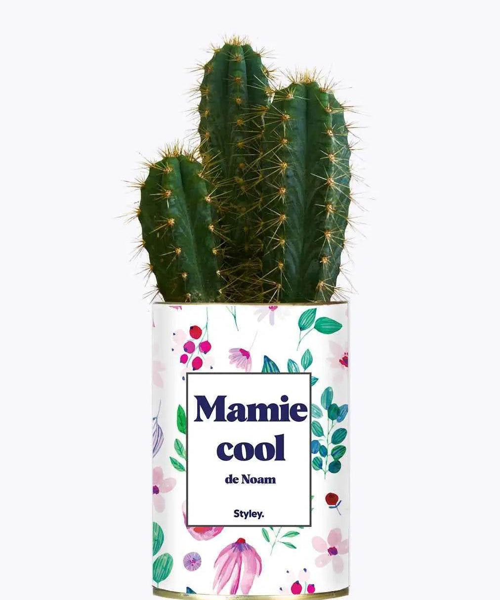 Mamie cool personnalisable - Plante Cactus varié