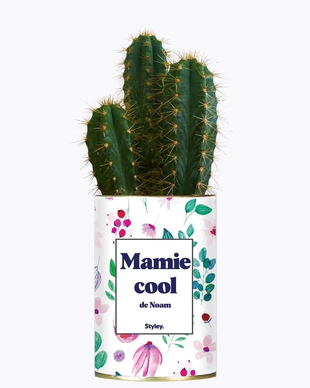 Mamie cool personnalisable - Plante Cactus varié
