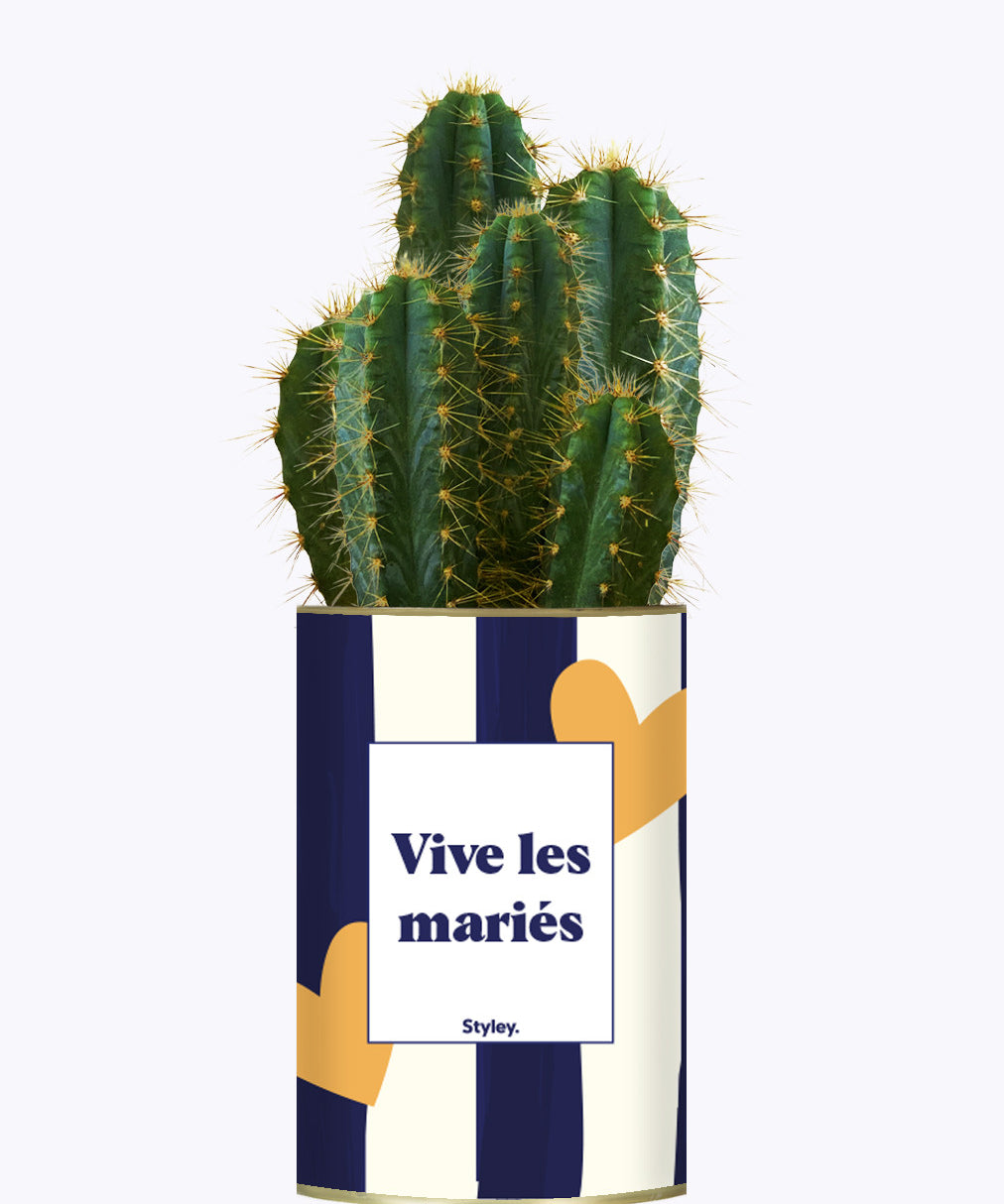Vive les mariés - Plante