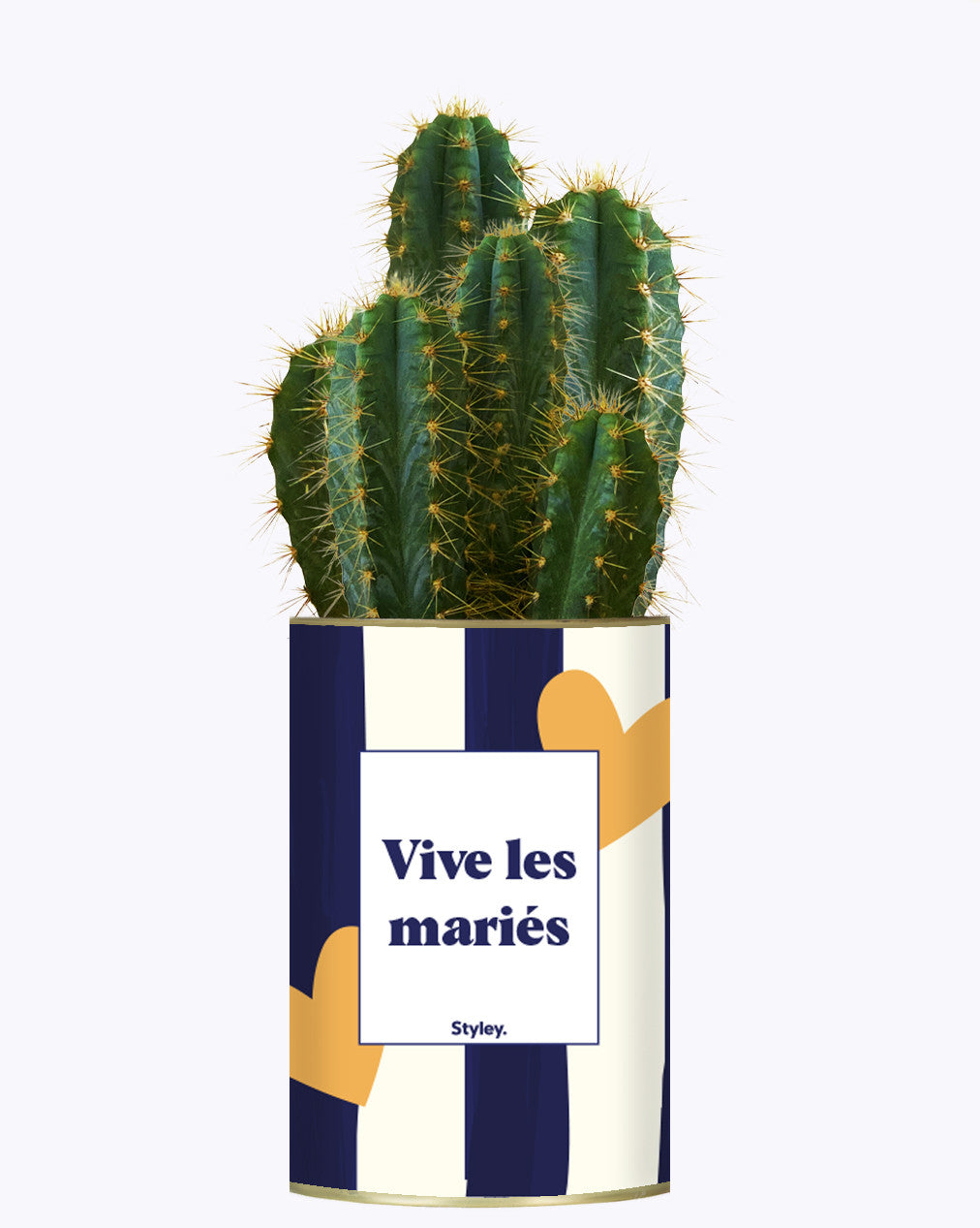 Vive les mariés - Plante