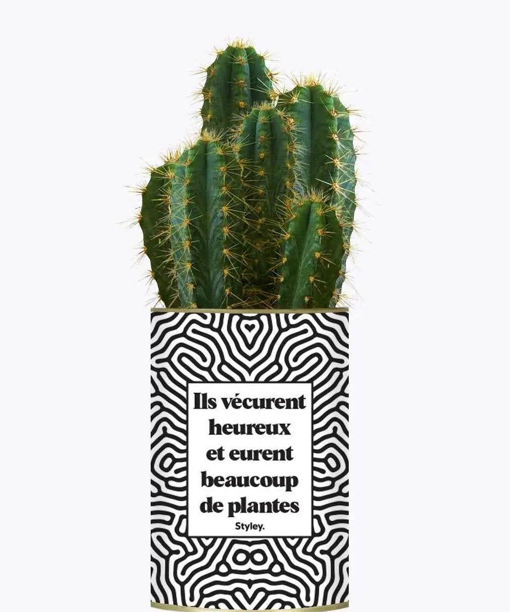 Ils vécurent heureux et eurent beaucoup de plantes - Plante Cactus varié