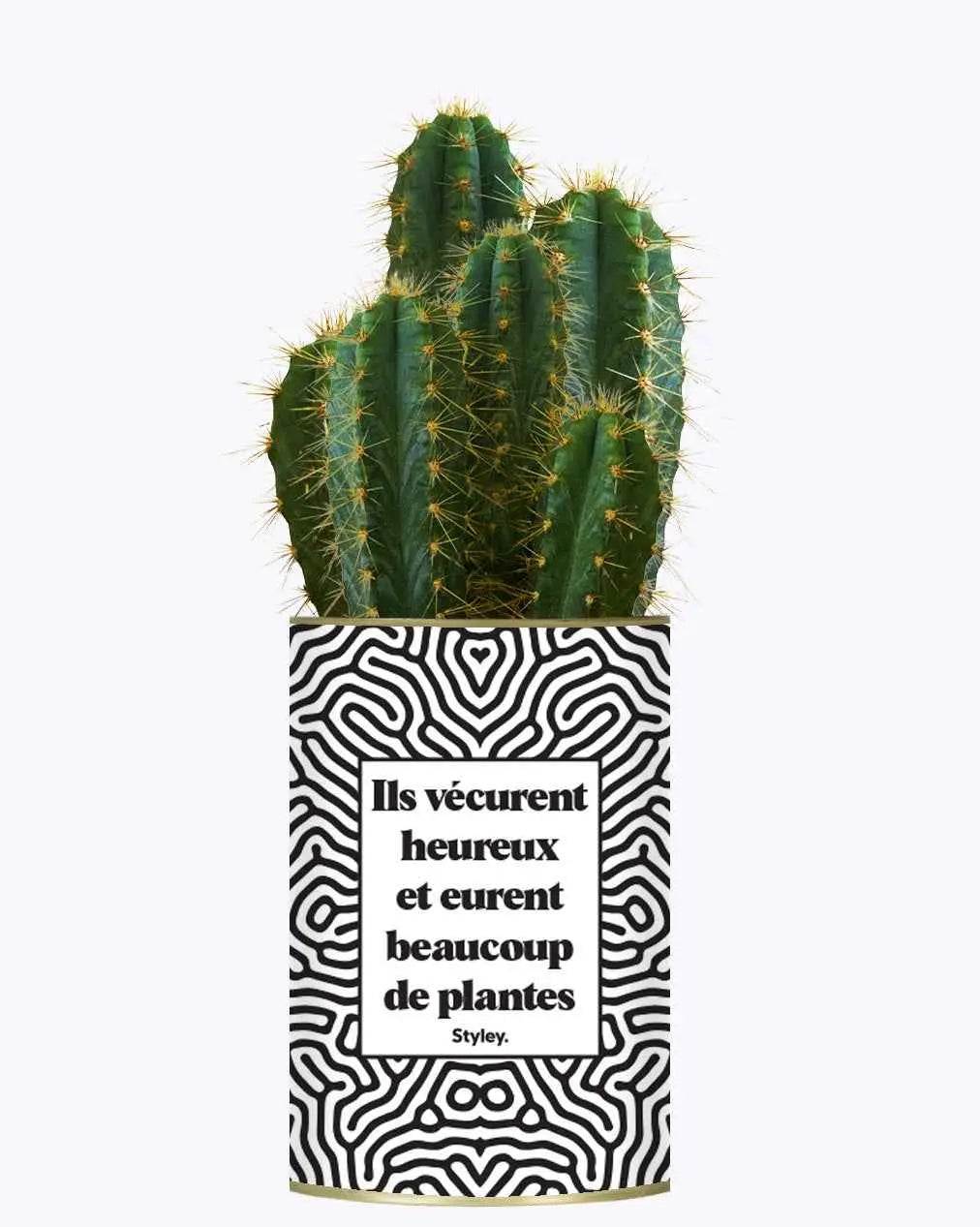 Ils vécurent heureux et eurent beaucoup de plantes - Plante Cactus varié