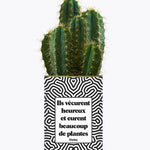Ils vécurent heureux et eurent beaucoup de plantes - Plante Cactus varié
