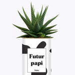 Futur papi - Plante