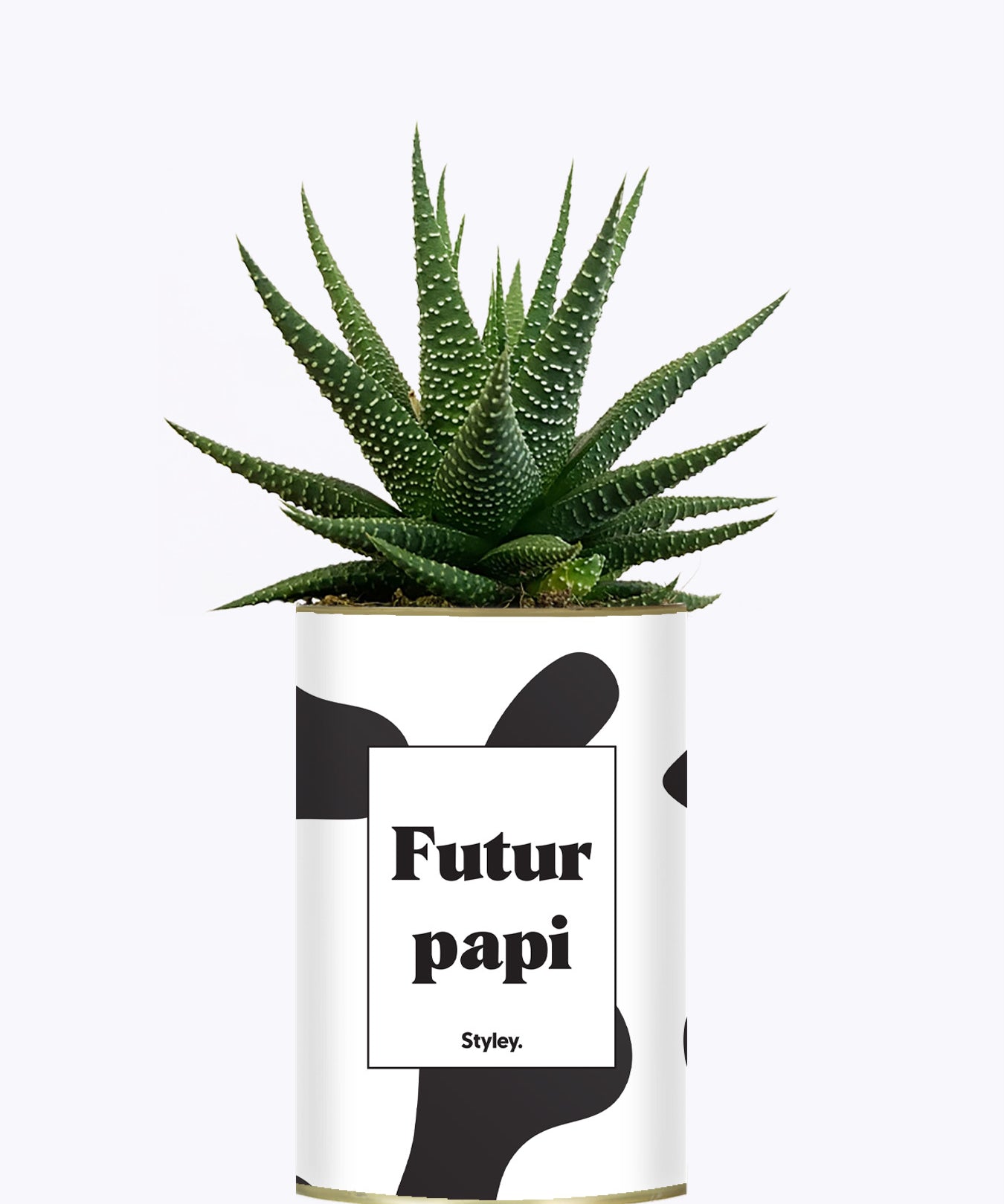 Futur papi - Plante