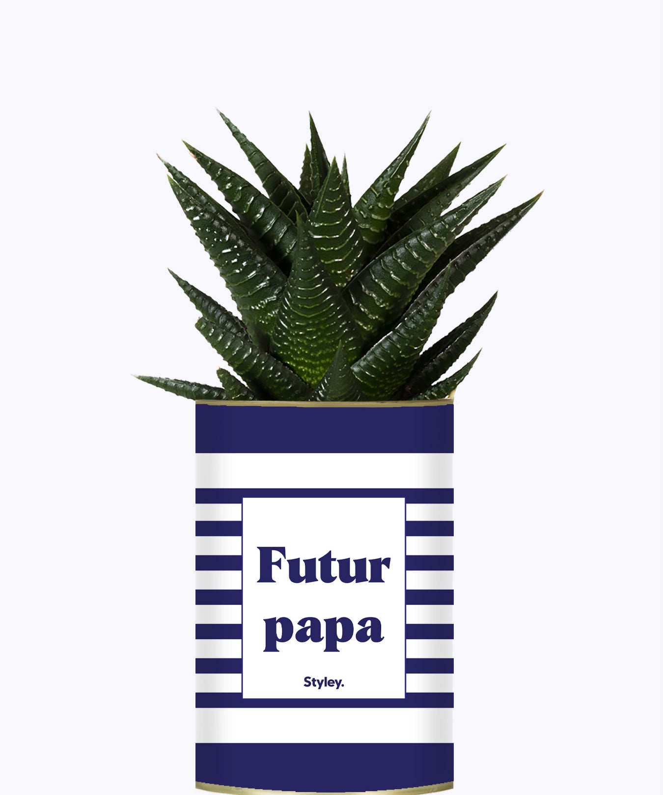 Futur papa - Plante