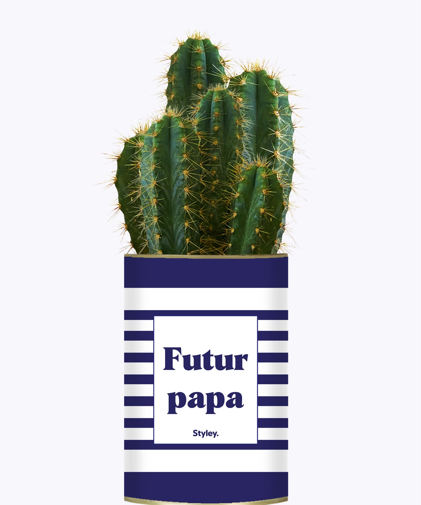 Futur papa - Plante