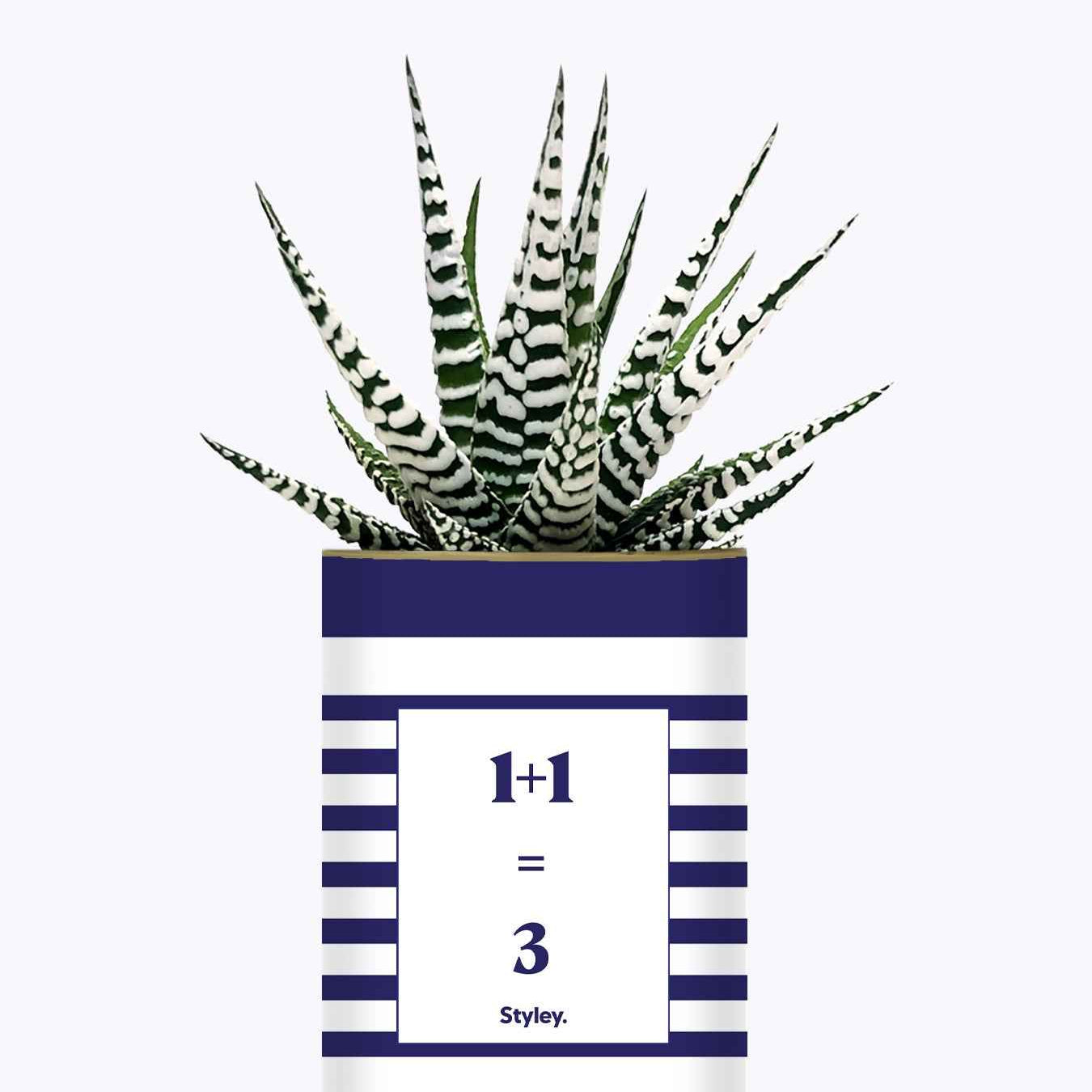 1 plus 1 égal 3 - Plante