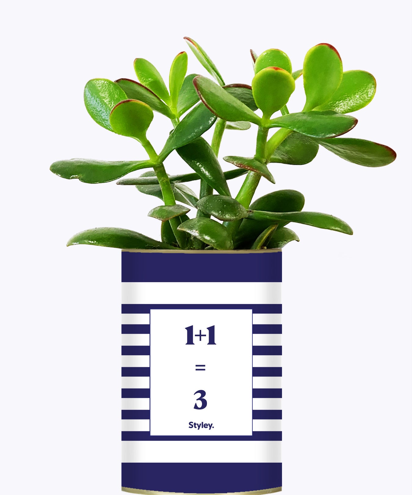 1 plus 1 égal 3 - Plante