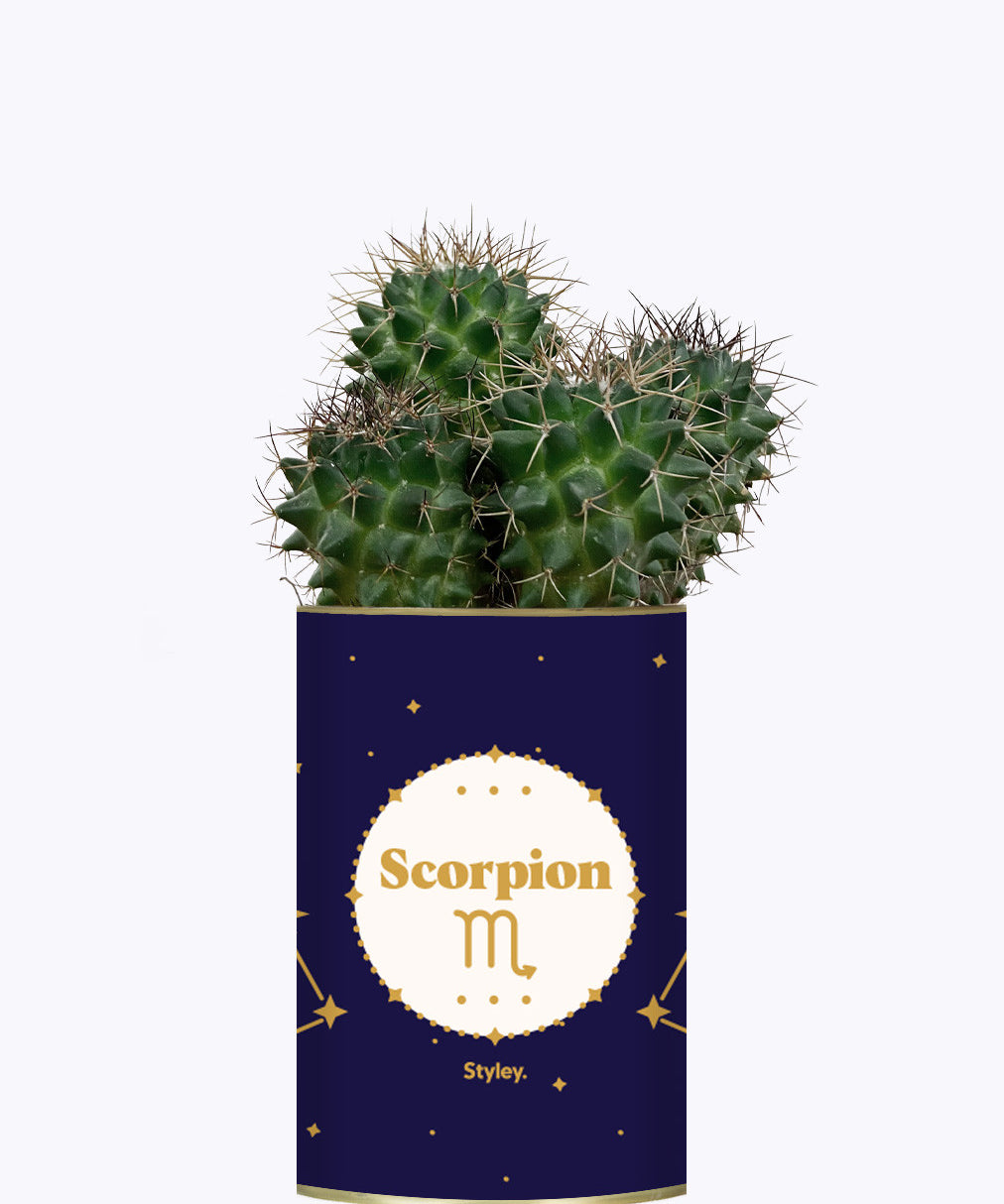 Astrologie - Plante zodiac