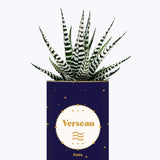 Astrologie - Plante zodiac