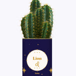 Astrologie - Plante zodiac