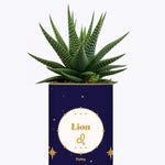 Astrologie - Plante zodiac