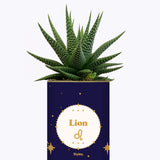 Astrologie - Plante zodiac