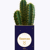 Astrologie - Plante zodiac