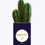Astrologie - Plante zodiac