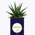 Astrologie - Plante zodiac