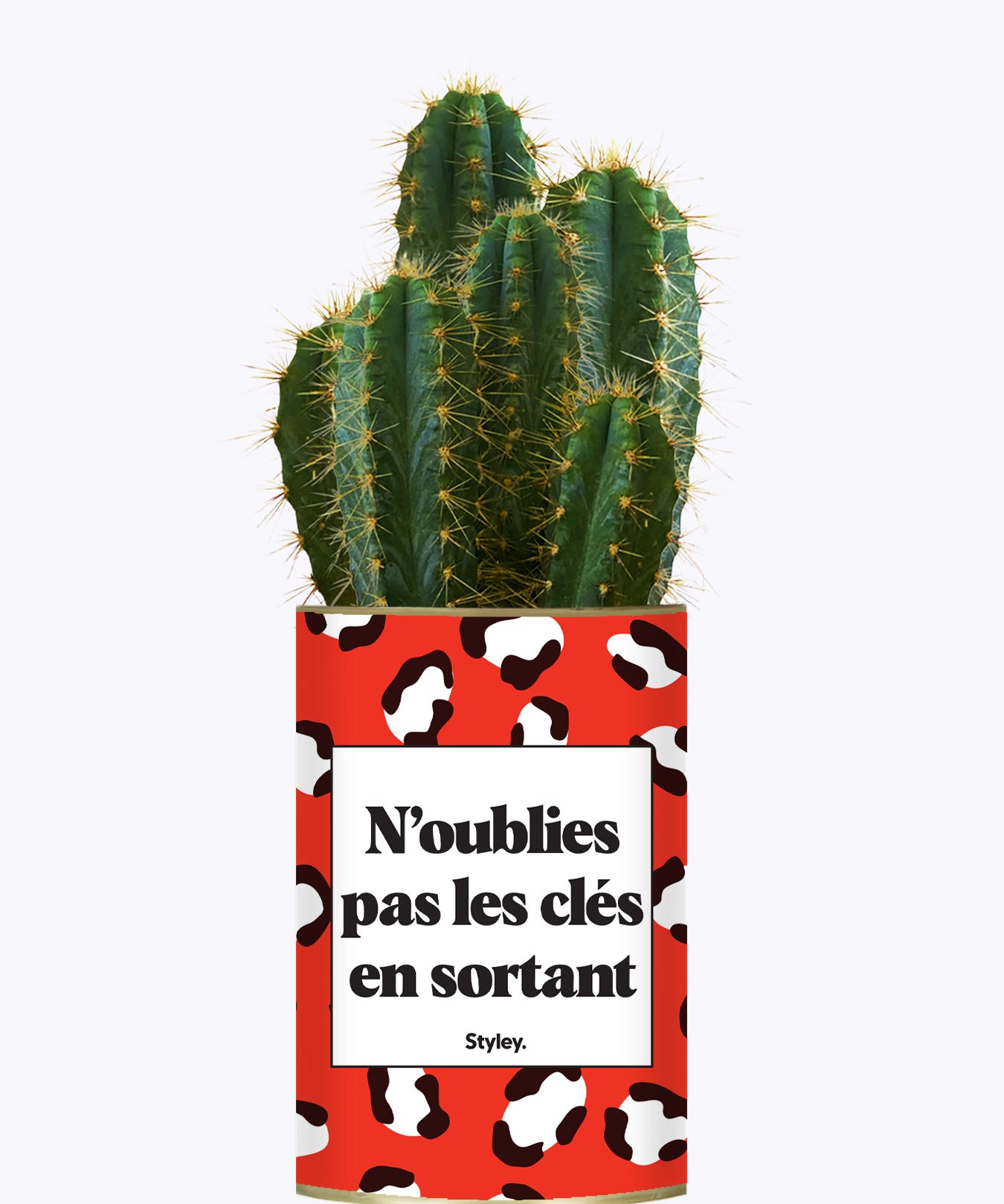 N'oublie pas les clés en sortant - Cactus
