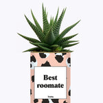 Best Roomate - Cactus