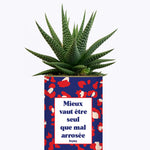 Mieux vaut être seule que mal arrosée - Cactus