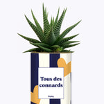 Tous des connards - Cactus