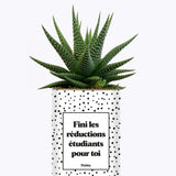 Fini les réductions étudiants pour toi - Cactus