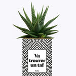 Va trouver un taf - Cactus