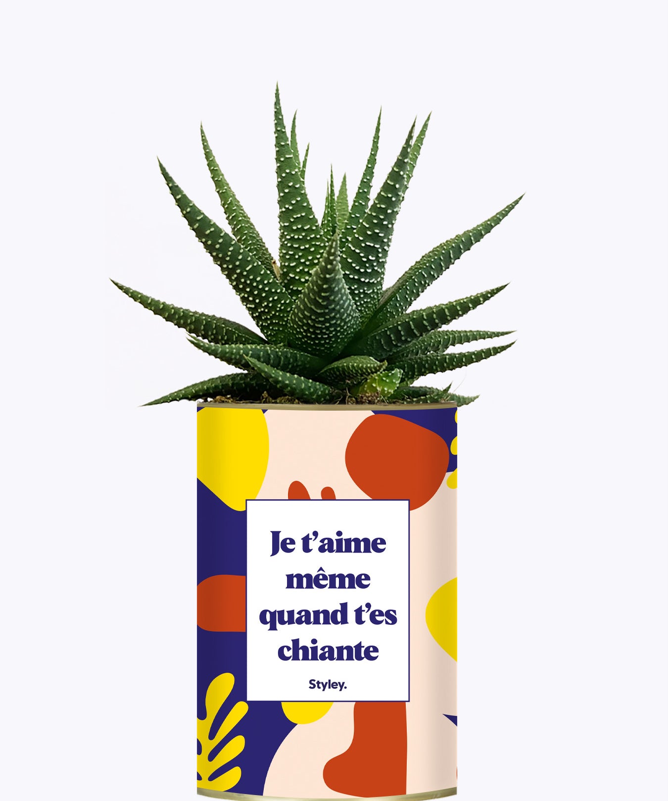 Je t'aime même quand t'es chiante - Cactus