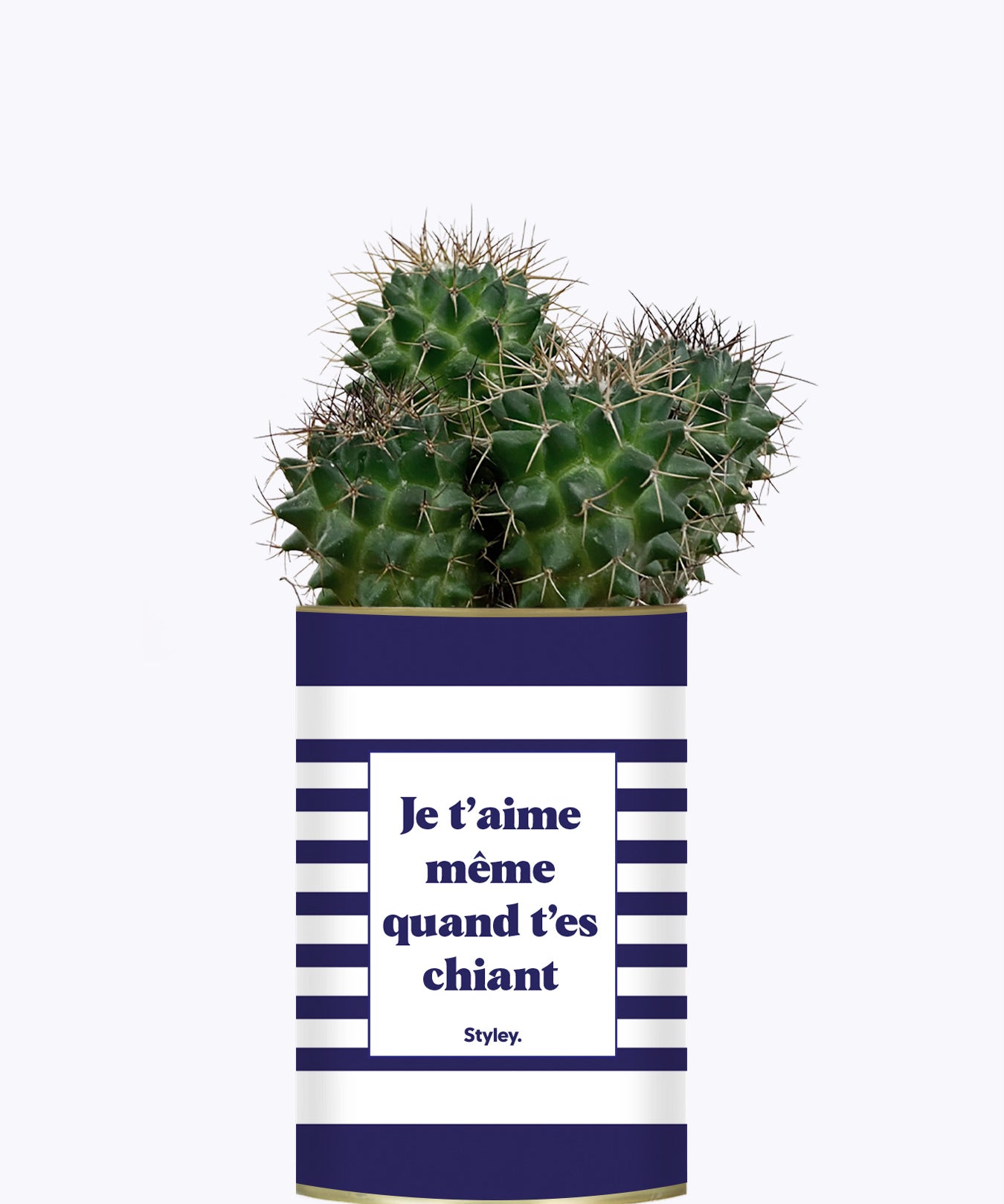 Je t'aime même quand t'es chiant - Cactus
