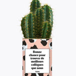 Bonne chance pour trouver de meilleurs collègues que nous - Plante Cactus varié