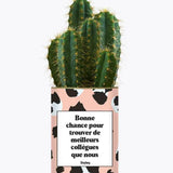Bonne chance pour trouver de meilleurs collègues que nous - Plante Cactus varié