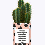Bonne chance pour trouver de meilleurs collègues que nous - Cactus