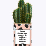 Bonne chance pour trouver de meilleurs collègues que nous - Cactus