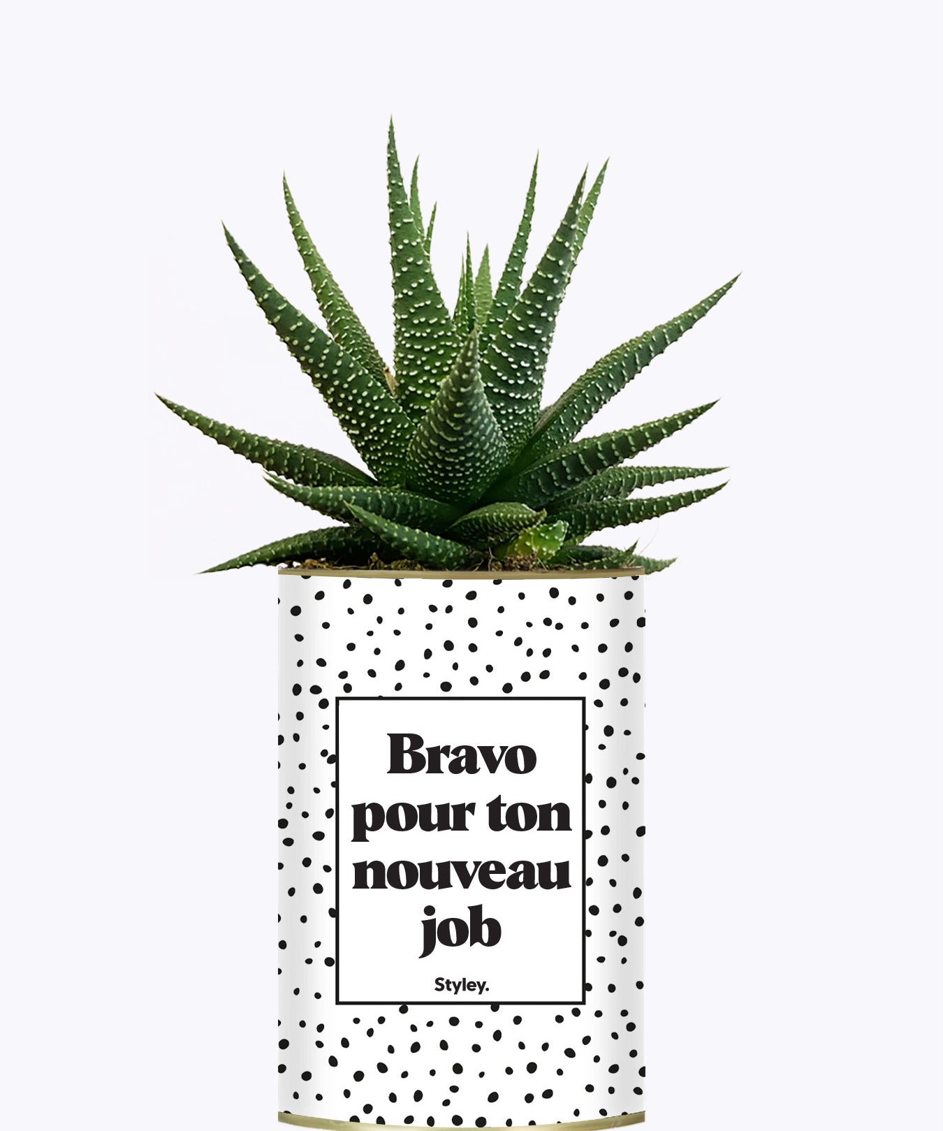 Bravo pour ton nouveau job - Cactus