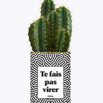 Te fais pas virer - Cactus