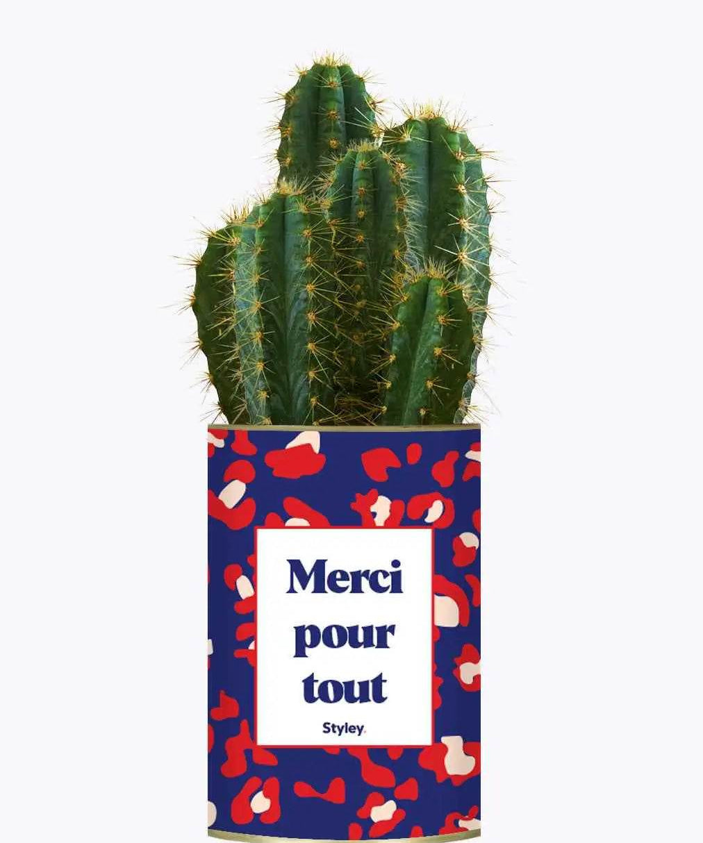 Merci pour tout - Plante