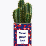 Merci pour tout - Plante