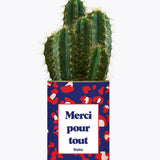 Merci pour tout - Plante
