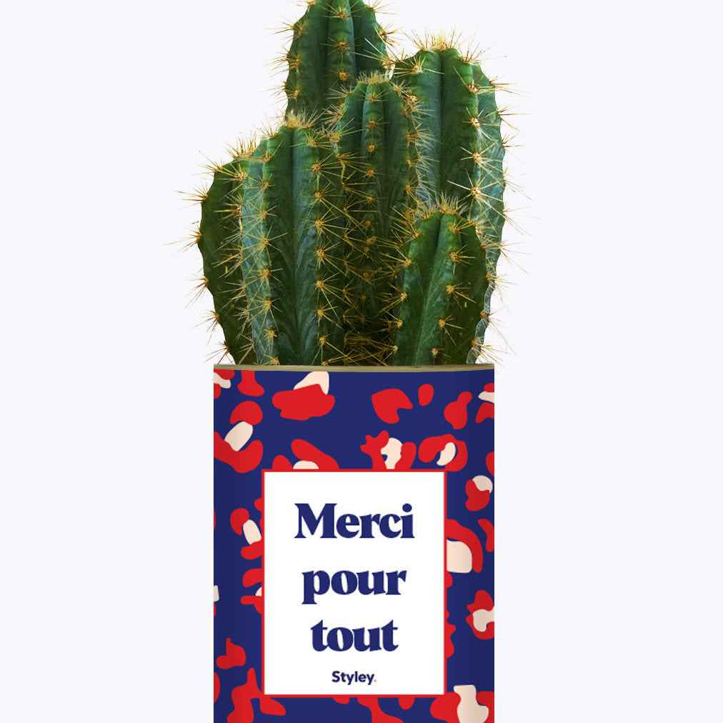 Merci pour tout - Cactus