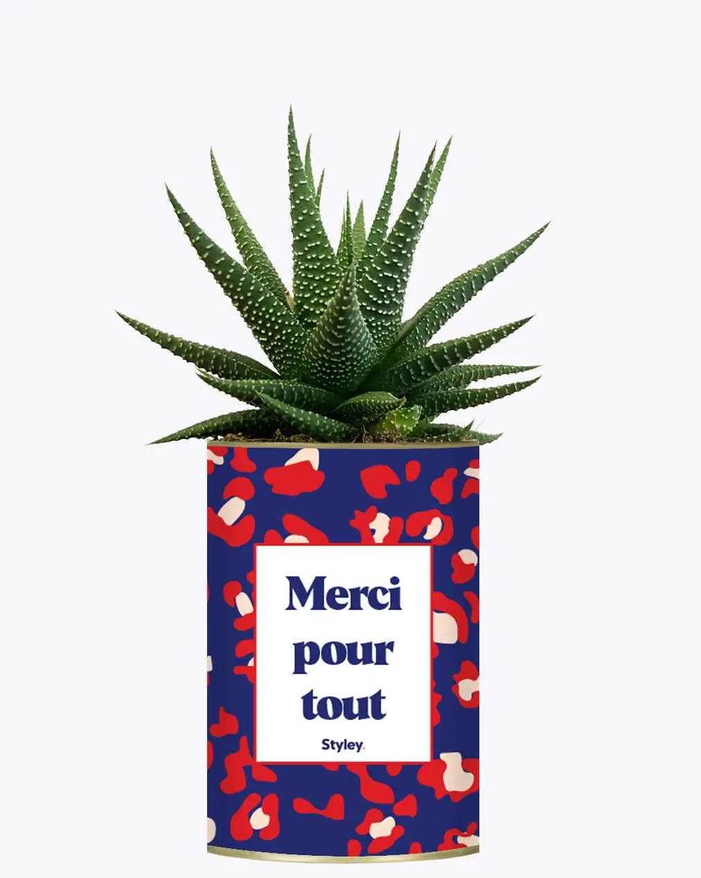 Merci pour tout - Plante