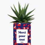 Merci pour tout - Plante
