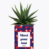 Merci pour tout - Plante